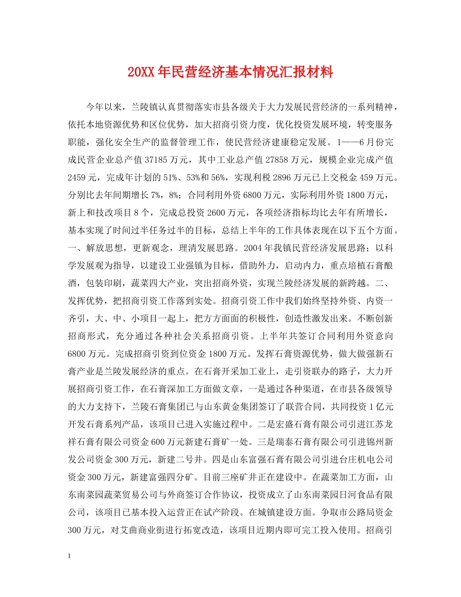 20XX年民营经济基本情况汇报材料_第1页