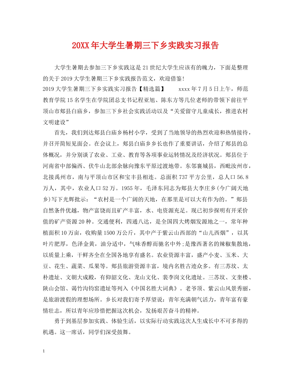 20XX年大学生暑期三下乡实践实习报告_第1页