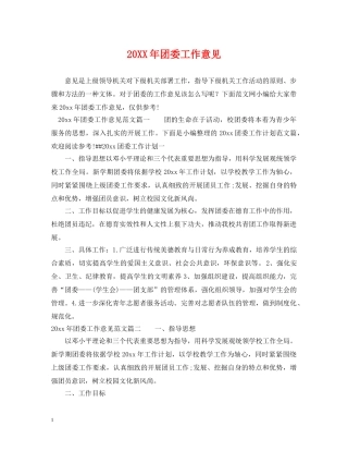 20XX年团委工作意见