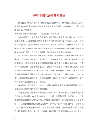 20XX年团代会开幕式讲话