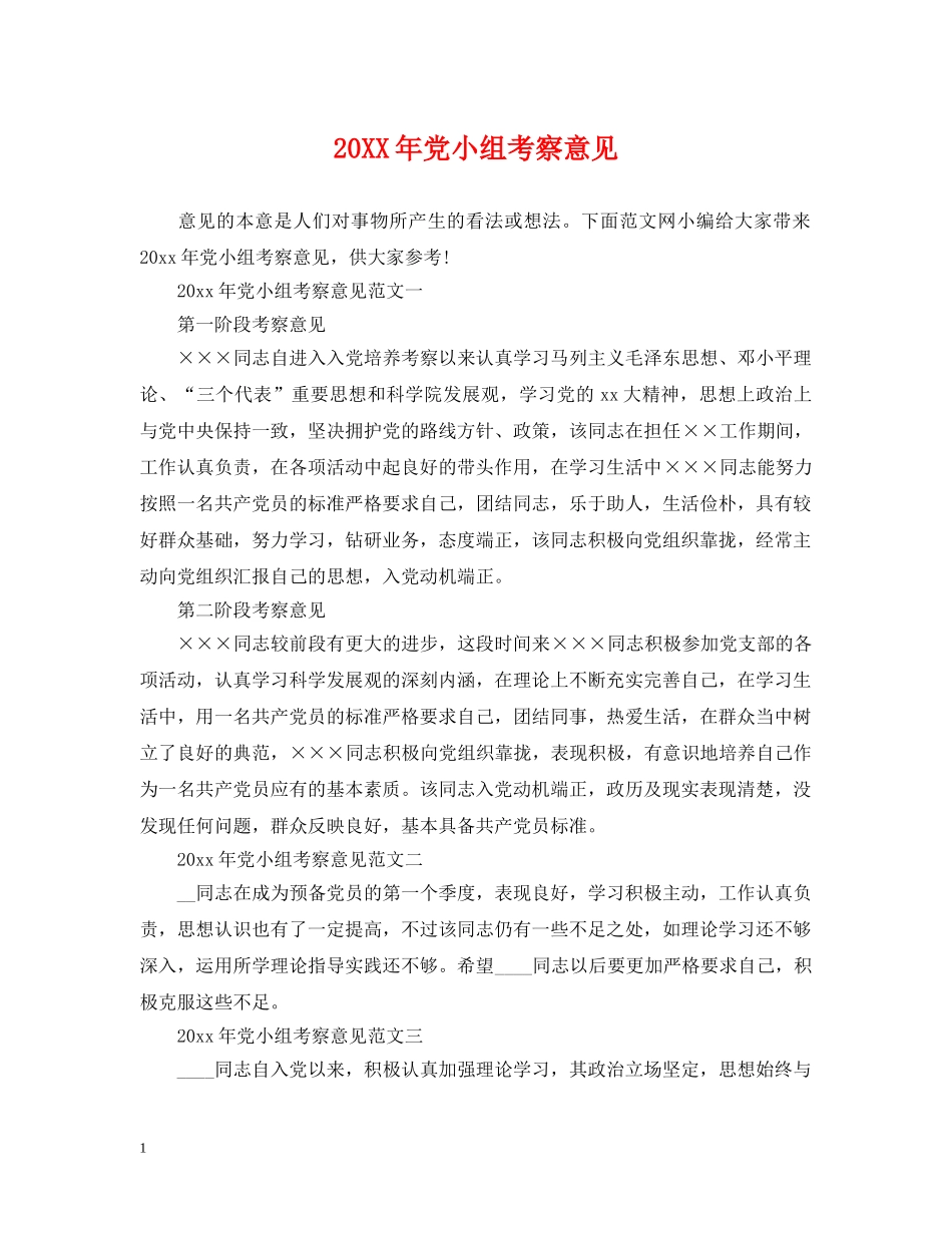 20XX年党小组考察意见_第1页