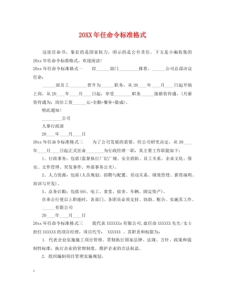 20XX年任命令标准格式
