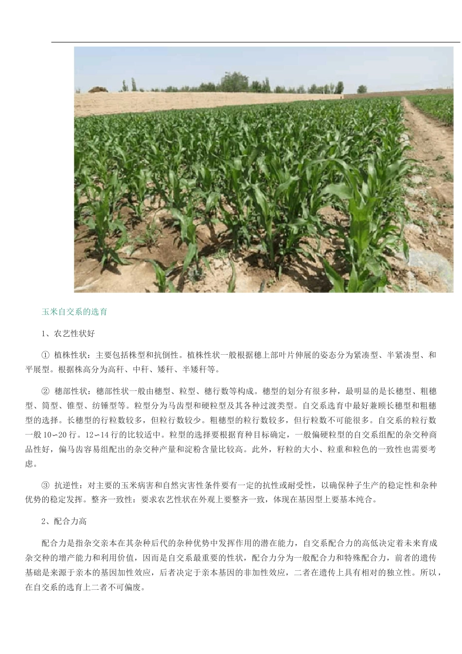 玉米育种技术_第3页