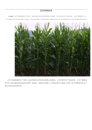 玉米育种技术
