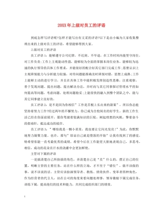 20XX年上级对员工的评语
