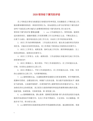 2024领导给下属写的评语