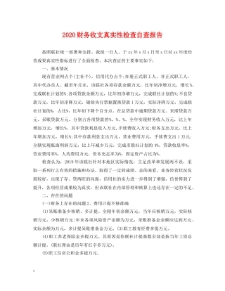 2024财务收支真实性检查自查报告