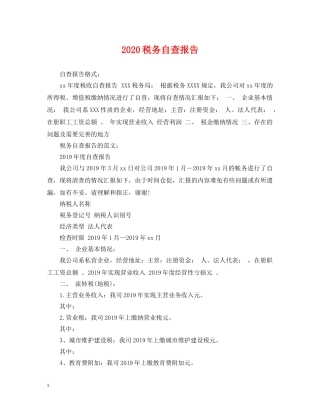 2024税务自查报告