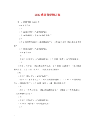 2024感恩节促销方案