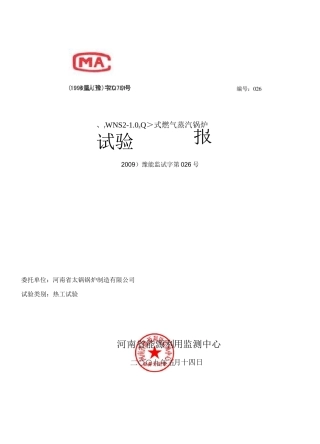 锅炉能效测试报告