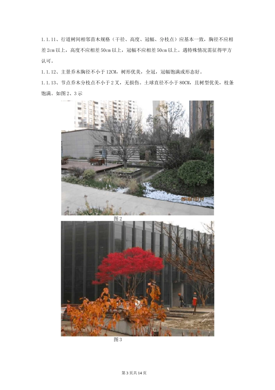 绿化养护标准_第3页