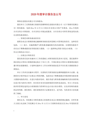 2024年度审计报告怎么写