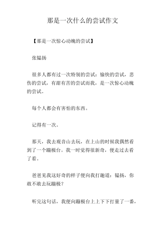 那是一次什么的尝试作文