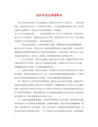 2024年安全承诺样本