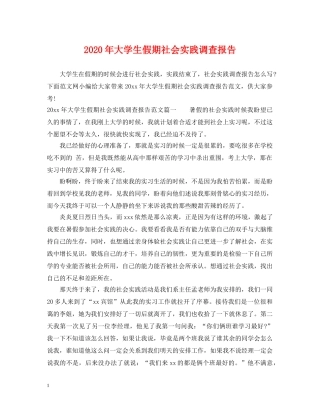 2024年大学生假期社会实践调查报告