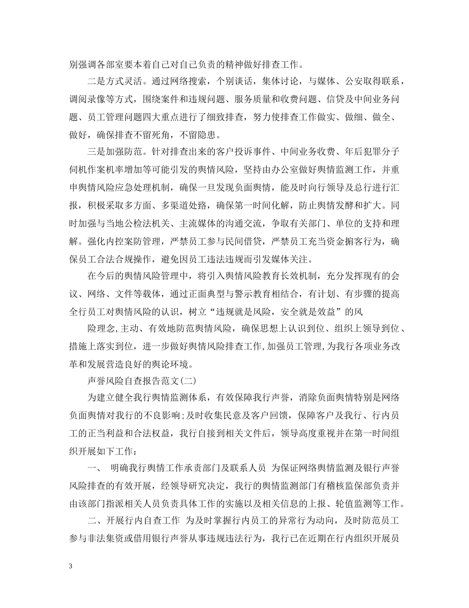 2024年声誉风险自查报告_第3页