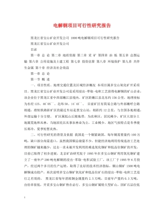 电解铜项目可行性研究报告 