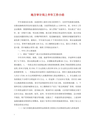 地方审计局上半年工作小结 