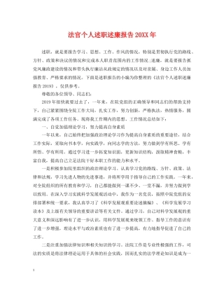 法官个人述职述廉报告20XX年 