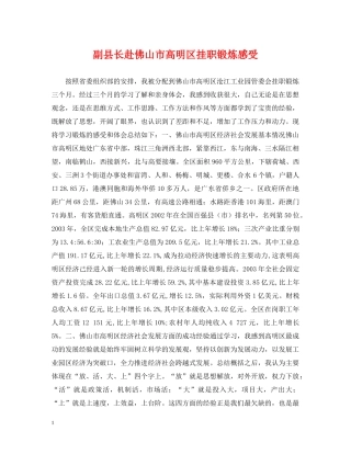 副县长赴佛山市高明区挂职锻炼感受