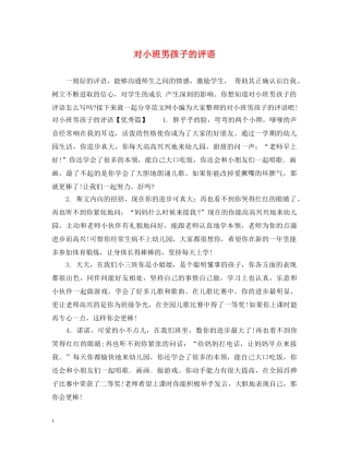 对小班男孩子的评语 