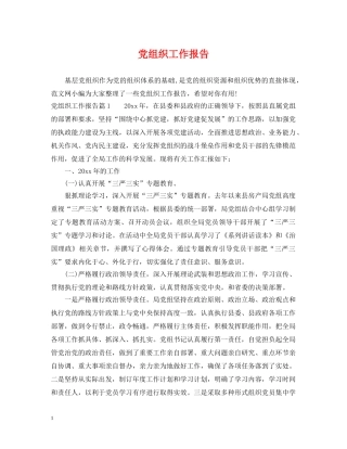 党组织工作报告