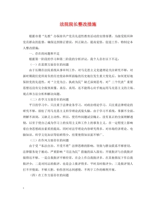 法院院长整改措施 
