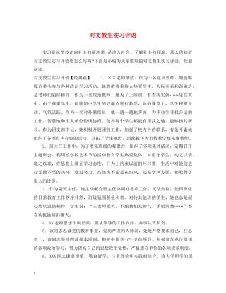 对支教生实习评语 