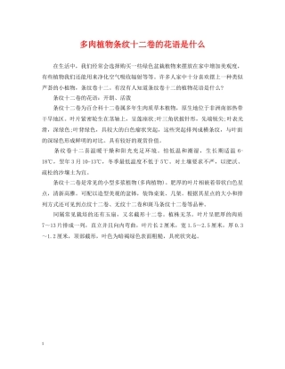 多肉植物条纹十二卷的花语是什么 