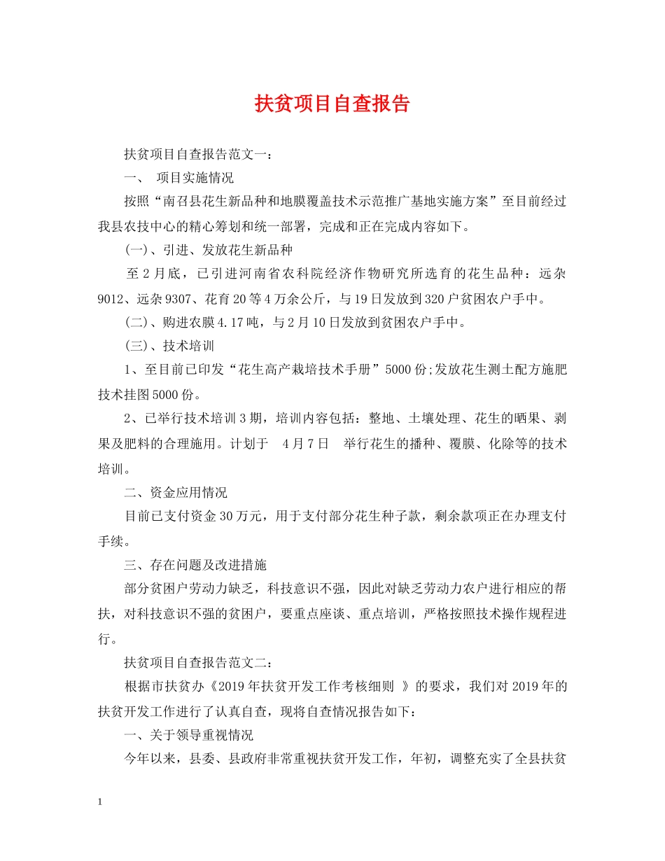 扶贫项目自查报告 _第1页