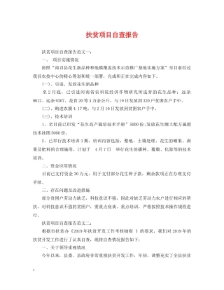 扶贫项目自查报告 