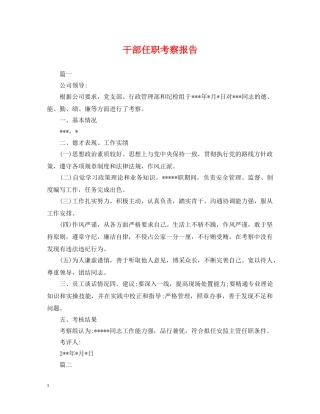 干部任职考察报告 