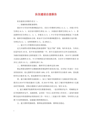 队伍建设自查报告 