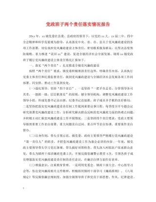 党政班子两个责任落实情况报告