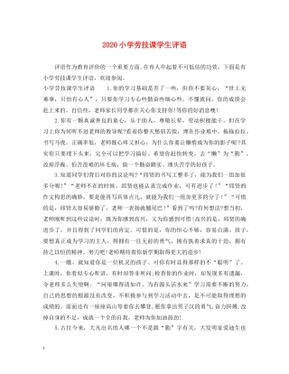 2024小学劳技课学生评语