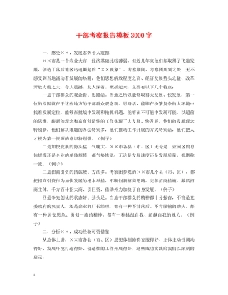 干部考察报告模板3000字 