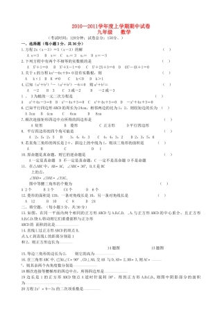 甘肃省景泰2010九级数学上学期期中考试无答案 