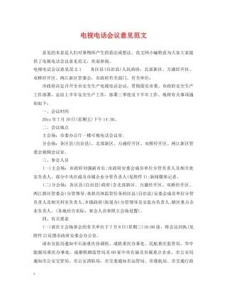 电视电话会议意见范文 