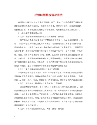 反馈问题整改情况报告 