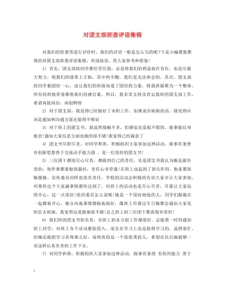 对团支部班委评语集锦 