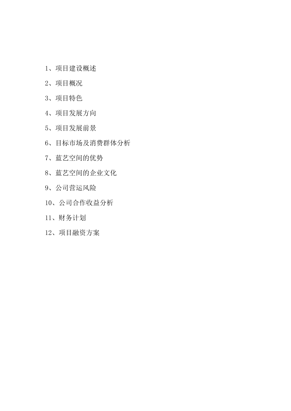 项目融资计划书_第2页