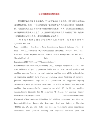 分公司经理英文简历表格