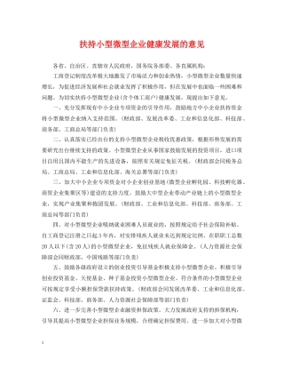 扶持小型微型企业健康发展的意见 