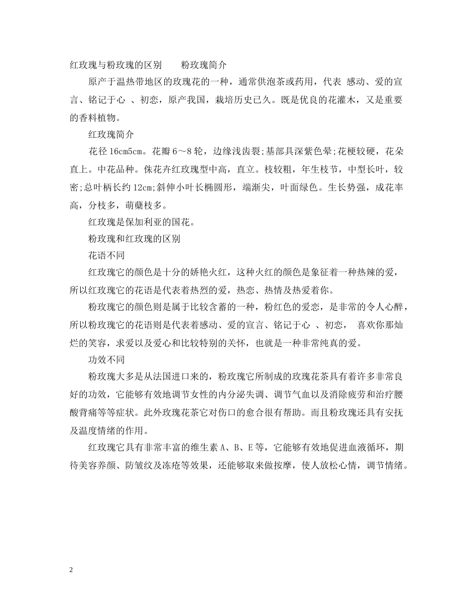 粉红玫瑰花花语 _第2页