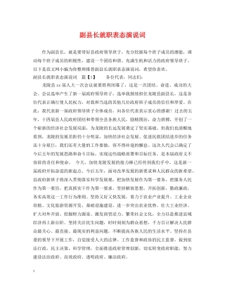 副县长就职表态演说词