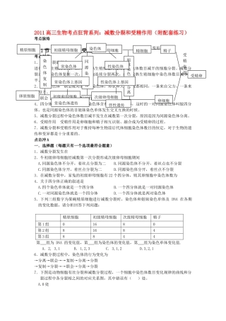 高考生物总复习备考考点必背知识 减数分裂和受精作用 