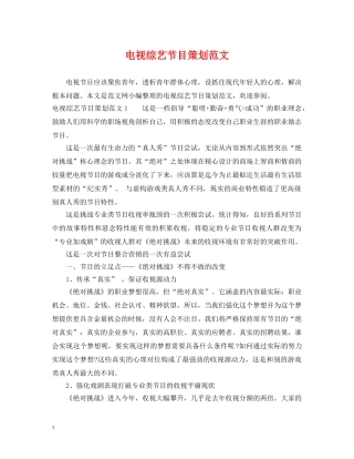 电视综艺节目策划范文 