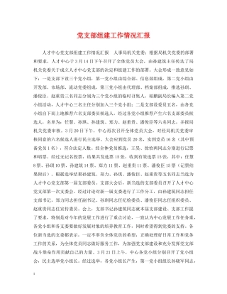 党支部组建工作情况汇报