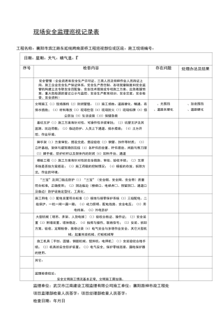 现场安全监理巡视记录表格模板