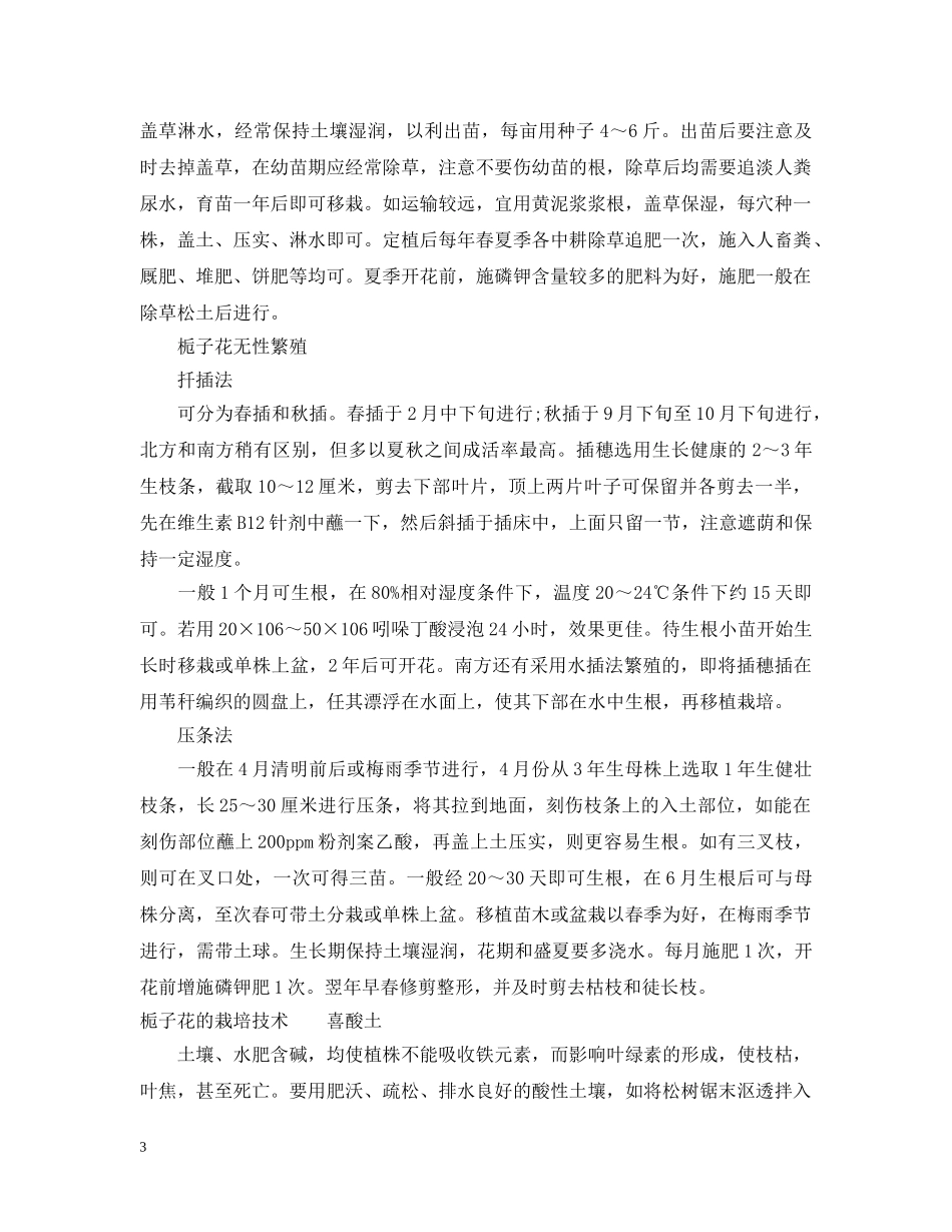 枙子花的花语有什么含义和神话故事 _第3页